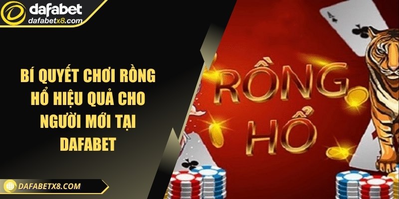 Bí quyết chơi Rồng Hổ hiệu quả cho người mới tại Dafabet