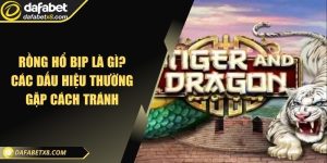Rồng hổ bịp là gì? Các dấu hiệu thường gặp cách tránh